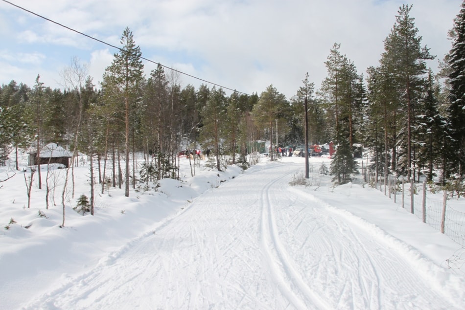 SKISKYTING og Skifeltskyting LØRDAG 26. MARS 2016